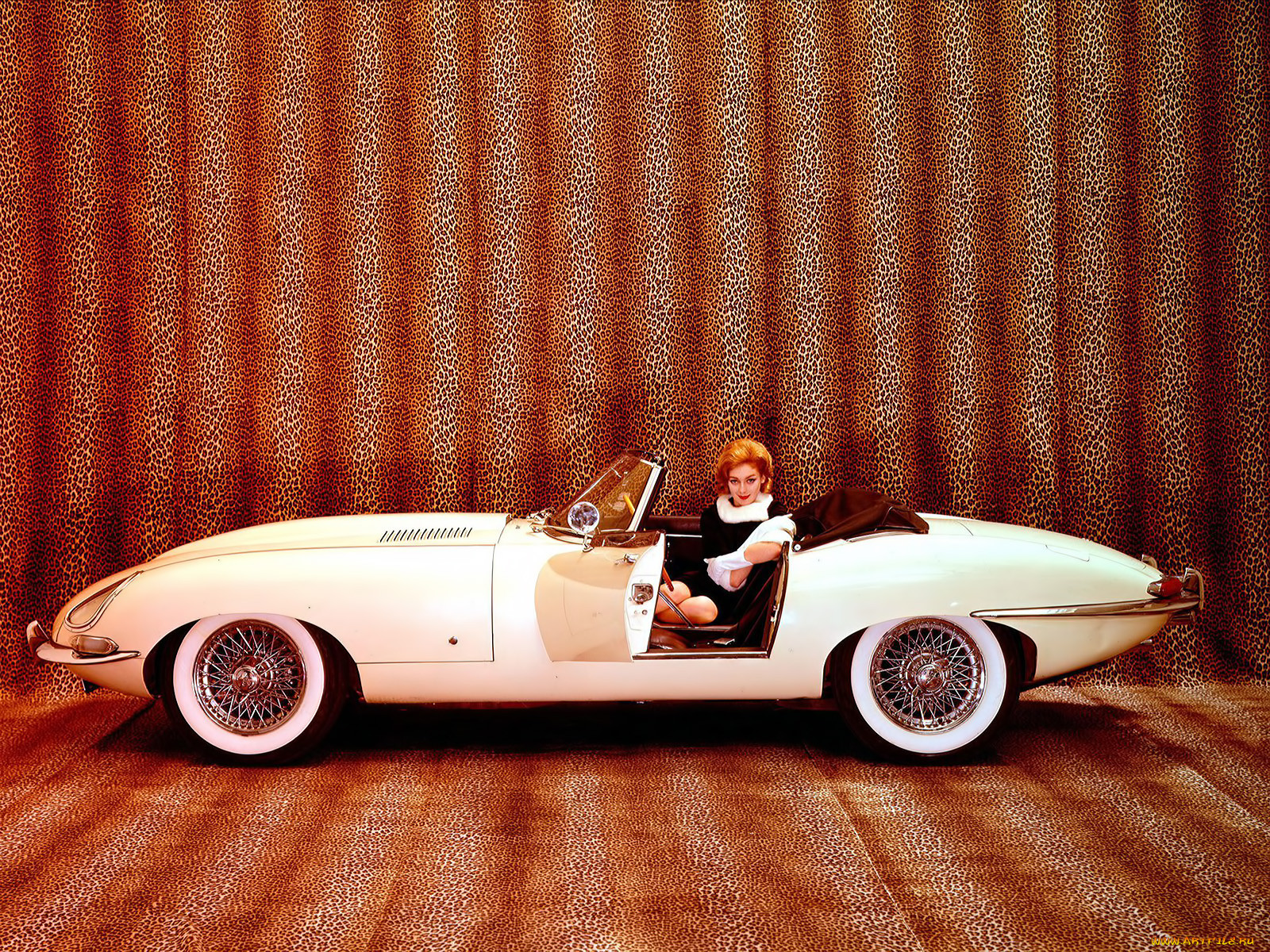 , jaguar